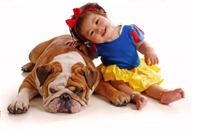 How to introduce your pet to a new baby