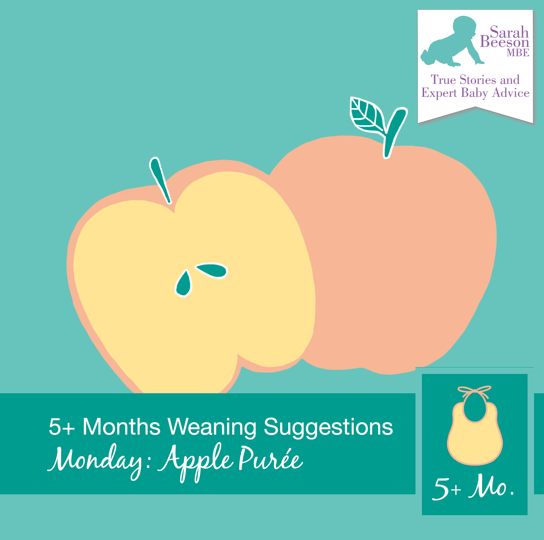 First Stage Weaning – Apple Pureé
