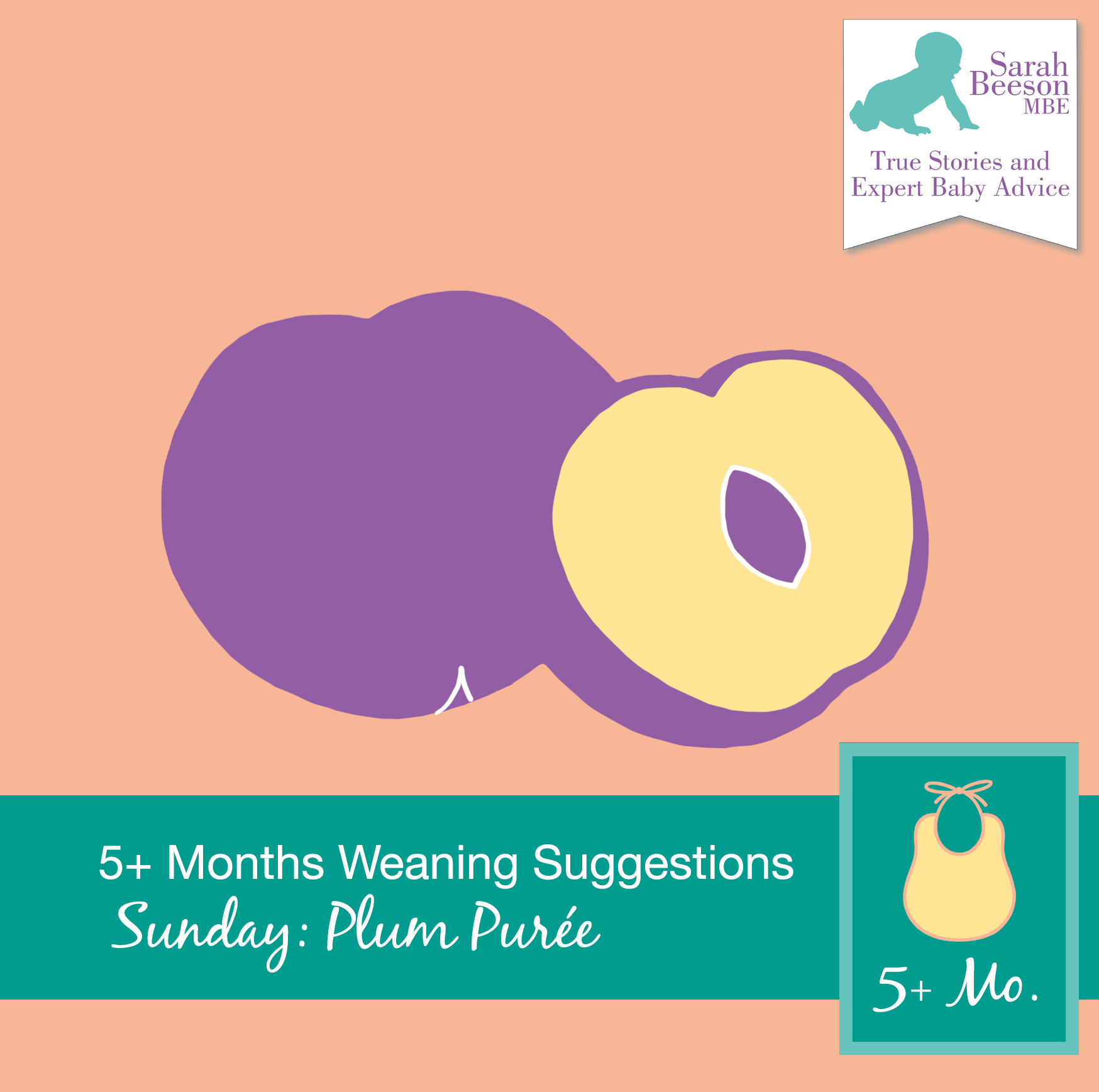 First Stage Weaning – Plum Pureé