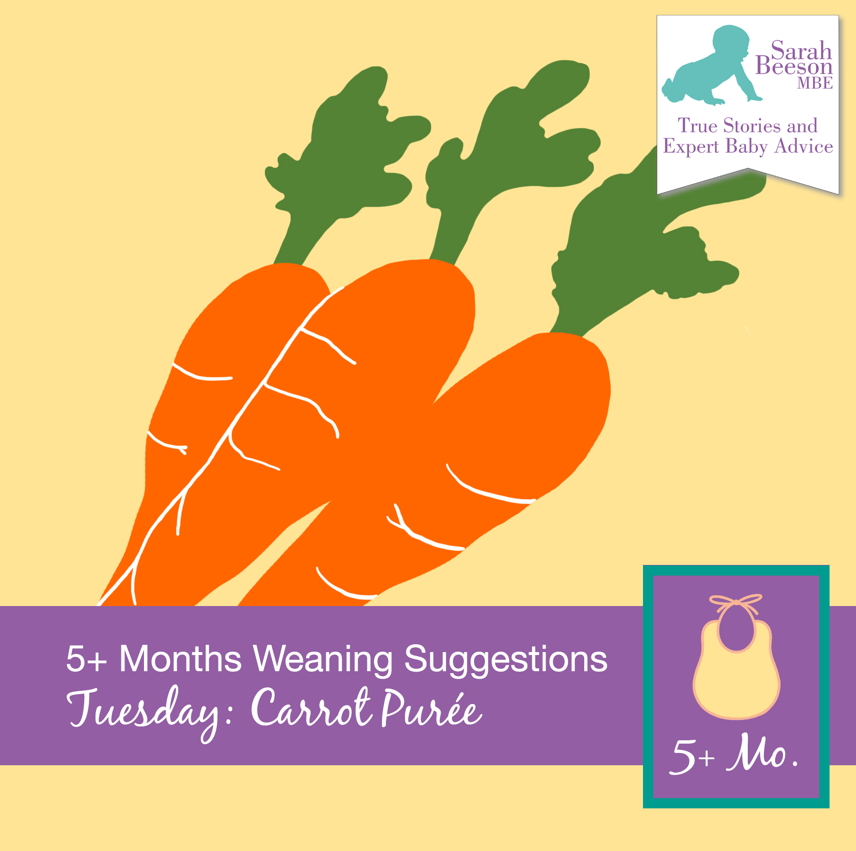 First Stage Weaning – Carrot Pureé